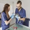 Cat Hospital of Mississauga