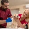 immunization and wellness care for pets