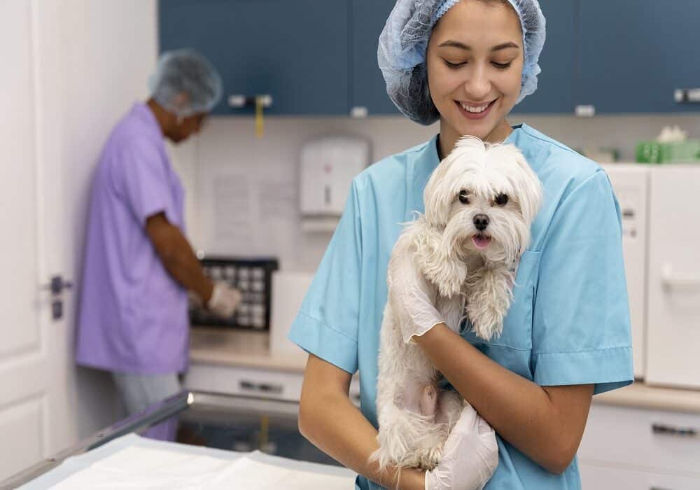 Pet Pharmacist
