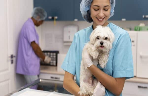 Pet Pharmacist