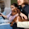 microchipping in mississauga
