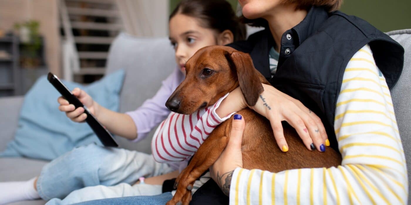 microchipping in mississauga