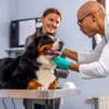 Brittany Glen Animal Hospital