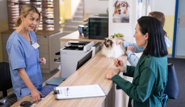 Animal Hospital Near